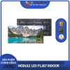 module LED P1.667